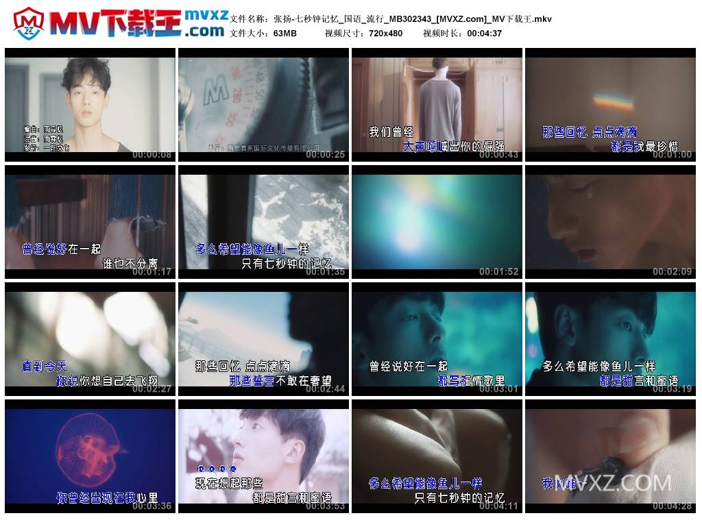 张扬-七秒钟记忆_国语_流行_MB302343